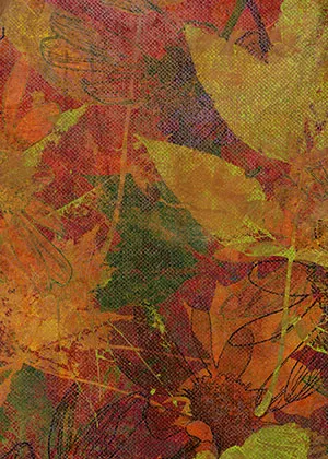 Işıl Tekstil Sonbahar & Kış 13