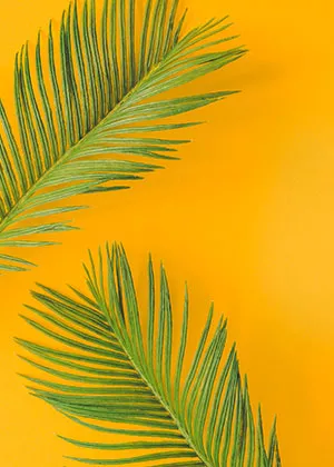 Işıl Tekstil İlkbahar & Yaz Koleksiyonu